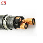 XLPE 11kv MV Multi Core Armoured Cable 10mm 4mm 3 Core 50m Cu Conductor