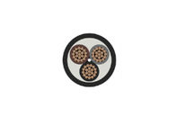 Low Voltage XLPE Insulated Power Cable R2V/XV/RV XLPE Insulation Power Cable