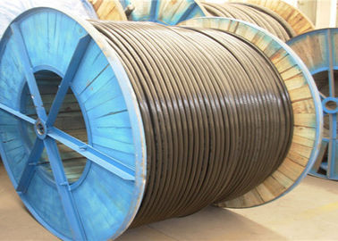 Weather Resistant Insulated All Aluminum Conductor Cable ABC Cable 600V