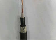 XLPE Insulation 2 Core Low Voltage Cable Fire Resistant 25mm 2 Core Armoured Cable