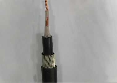 XLPE Insulation 2 Core Low Voltage Cable Fire Resistant 25mm 2 Core Armoured Cable