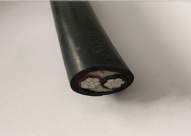 50mm Copper Conductor LV Power Cable XLPE Insulation 2 Core Copper Cable