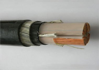 Underground Transmission Cu Xlpe Power Cable / Copper Armoured Cable