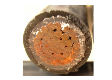 Cu conductor xlpe insulated 3x16mm unarmoured 1kv power cable