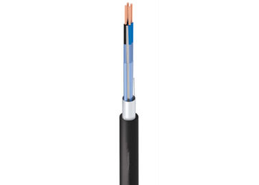 PE / PVC Insulation Special Cables Instrumentation Cable 300 / 500V