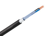 PE / PVC Insulation Special Cables Instrumentation Cable 300 / 500V