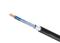 PE / PVC Insulation Special Cables Instrumentation Cable 300 / 500V