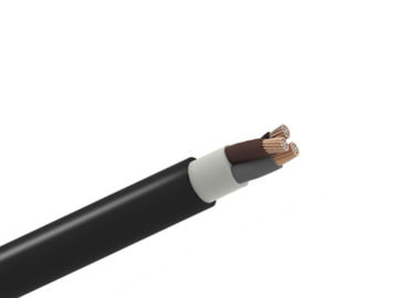 Low Voltage XLPE Insulated Power Cable R2V/XV/RV XLPE Insulation Power Cable