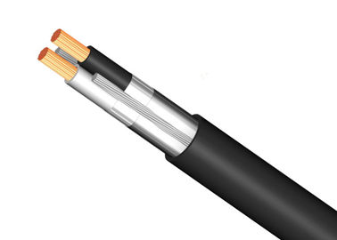 Dual Conductor Maximum Rated Voltage 600V TEL Cable Durable For Communication