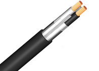 Dual Conductor Maximum Rated Voltage 600V TEL Cable Durable For Communication